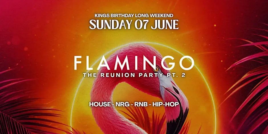 FLAMINGO LOUNGE: The Reunion Party Pt.2