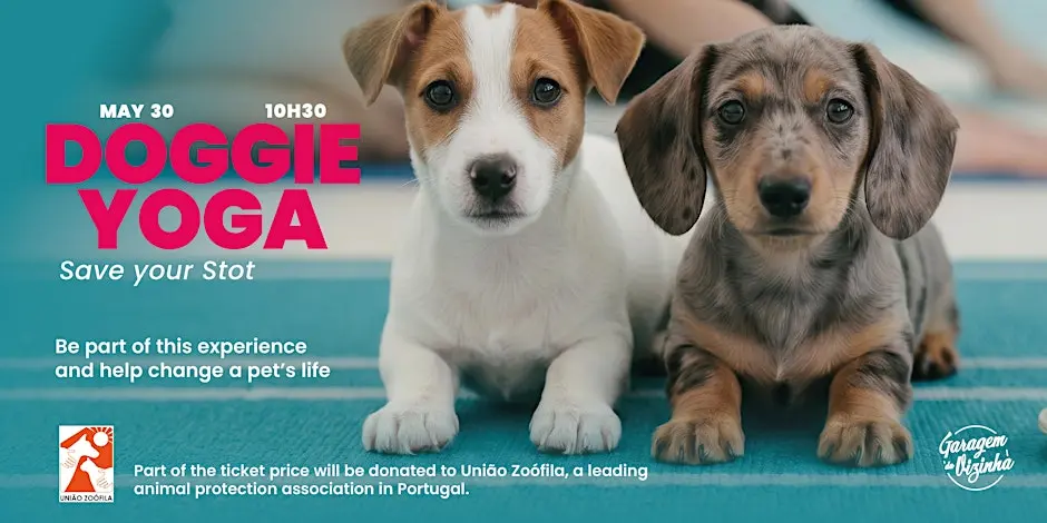 Doggie Yoga