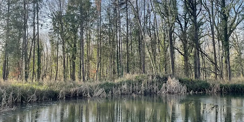 Somerset Conference of the Trees