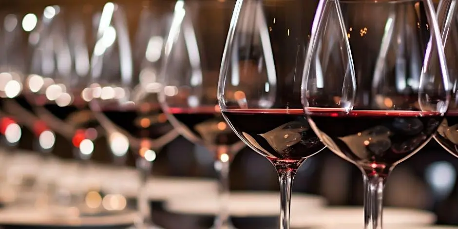 Wine Tasting Daytrip - The Mexican & Foreign Girls Club