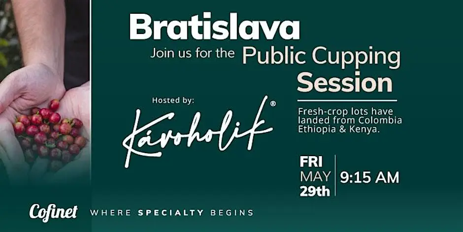 Cupping Session Hosted by Cofinet / Kavoholik