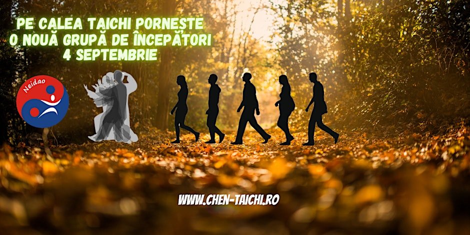 Curs taijiquan taichi